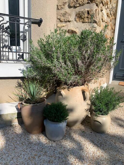 Apartment -notrefrenchcasa- Avec Terrace Proche Disney, Paris & Reims